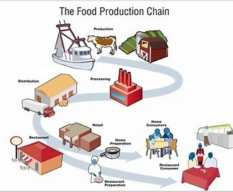 chain production