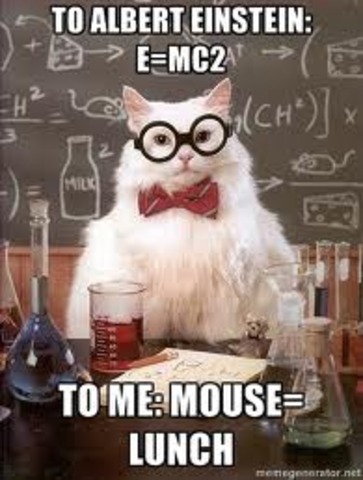 E=Mc^2 !