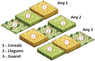 CREIXEMENT ECONOMIC