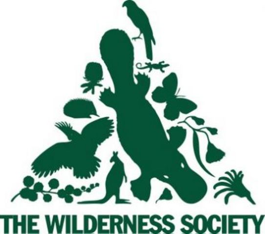 The Wilderness Society is founded