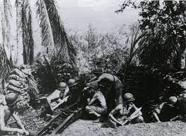 Guadalcanal campaign