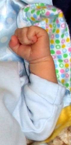 infant begans to crawl