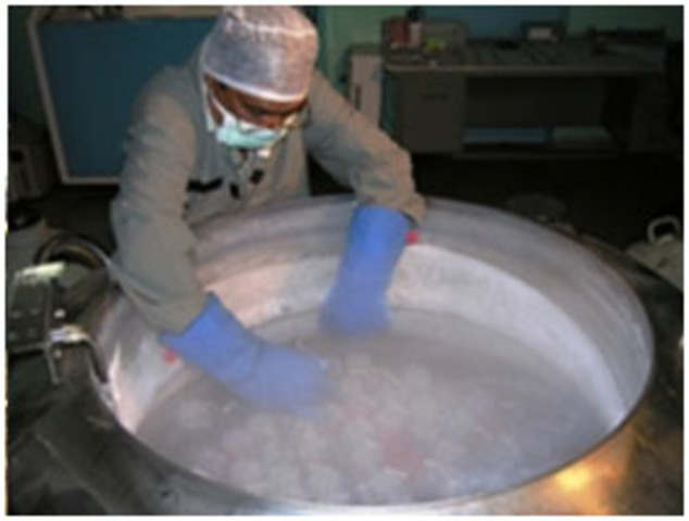 freezing of bull semen
