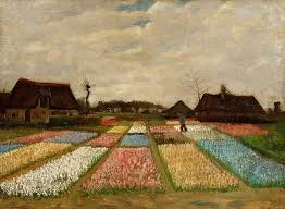 Campo de tulipanes