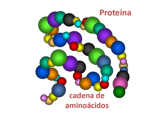 Frederick Sanger