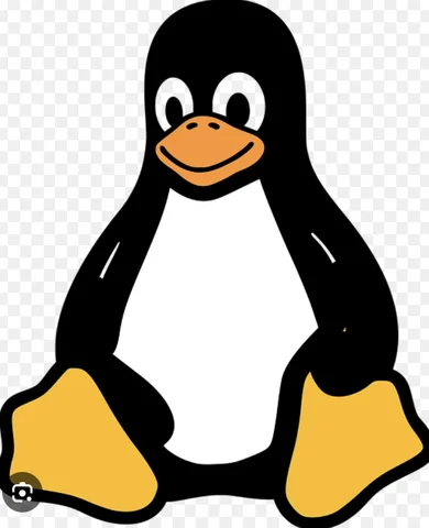 Linux OS