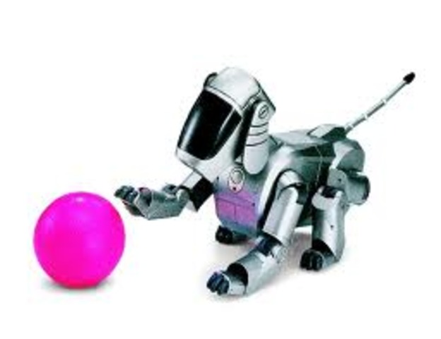 AIBO