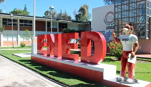 Programas, servicios y bienes en educación física y deporte (1883-1888)