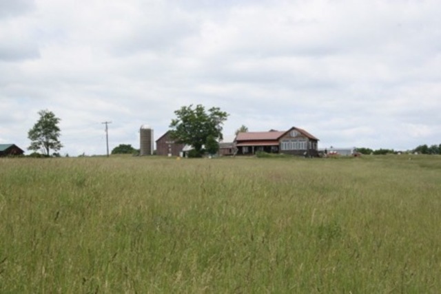 Woodstock Venue Chosen