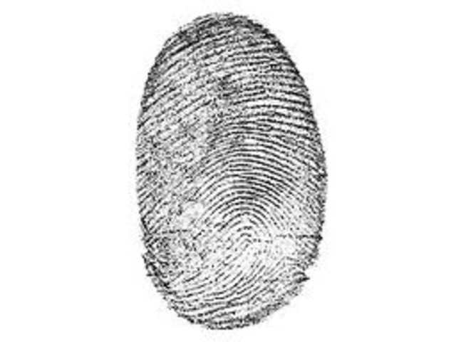 finger prints form