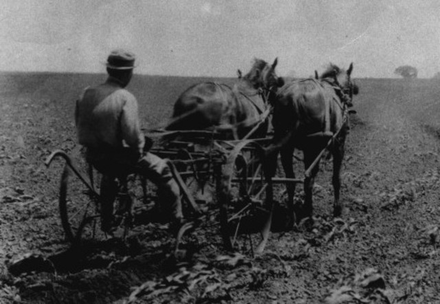 farming in the 1900's