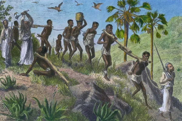Chegada dos Africanos no Brasil