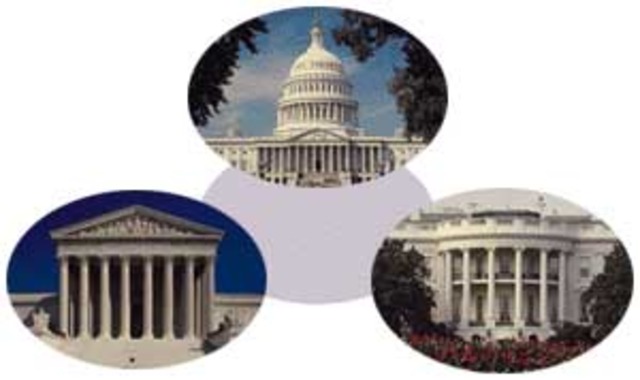 Three Branches of Government