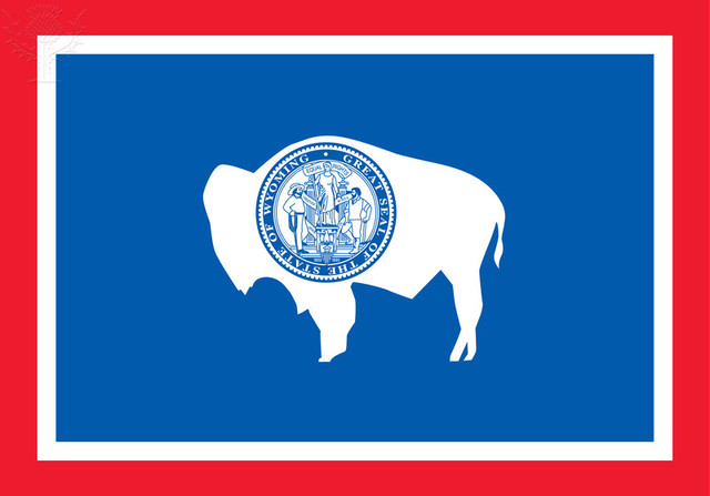 Wyoming's State Flag