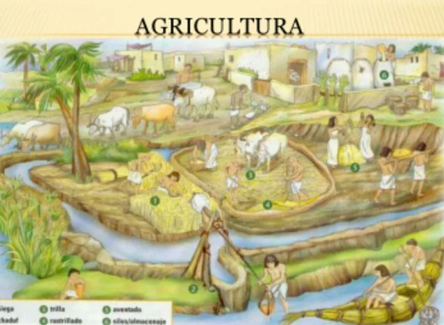 Els primers cultius a la vora del riu