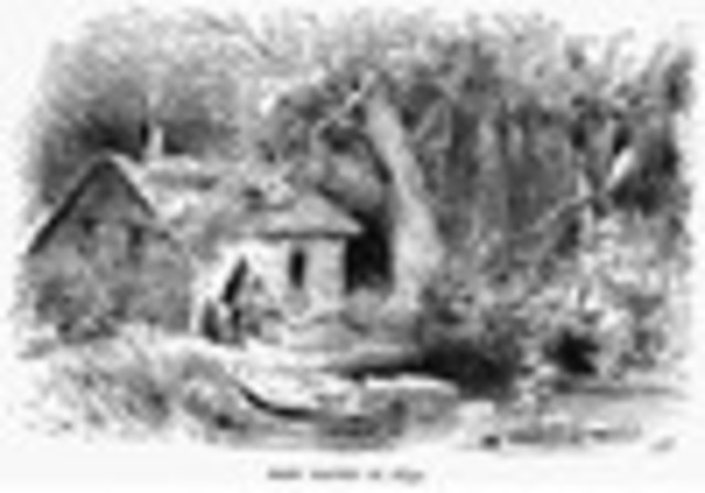 Connecticut And New Haven