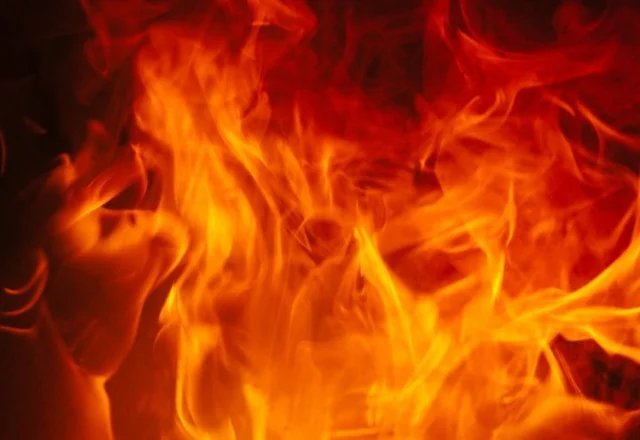 DESCOBRIMENTS DEL FOC
