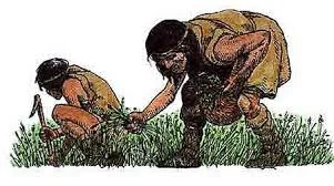 Busca de alimentos (frutos, raices, plantas.