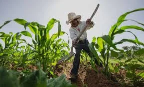 Se inicia la agricultura y ganaderia en Asia y Europa