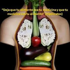Hipocrates reconoce la importancia de la alimentación