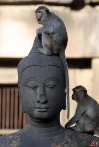 5 years old and all over Asia!