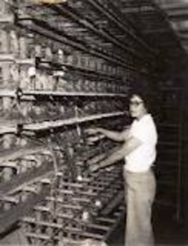 Weeks vs. Southern Bell.