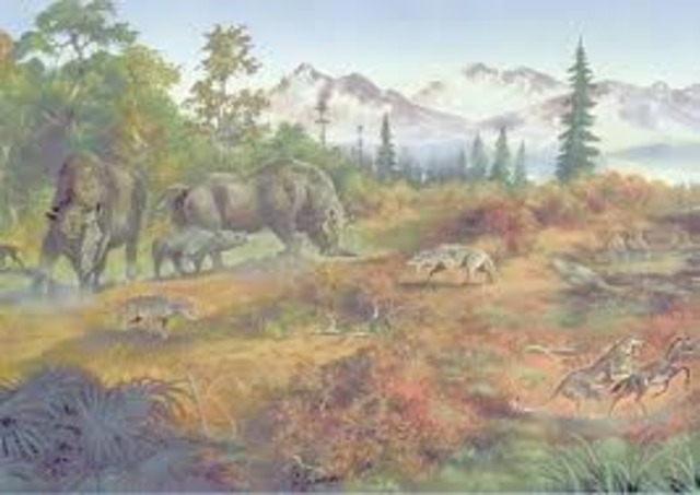 Tertiary Period 65 MYA