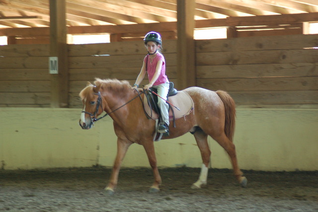 I competed in my first horse show.