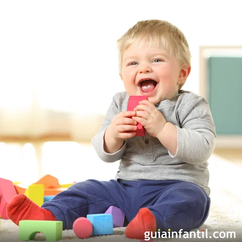 0-12 Meses: Desarrollo Inicial de Funciones Cognitivas Básicas