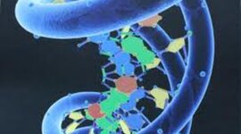 Timeline: Gentetic Testing