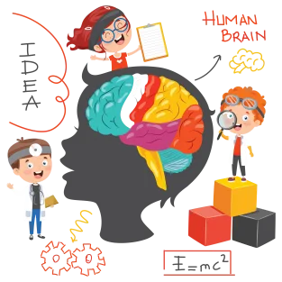 1-3 Años: Consolidación de las Funciones Cognitivas Básicas y Comienzo de las Superiores