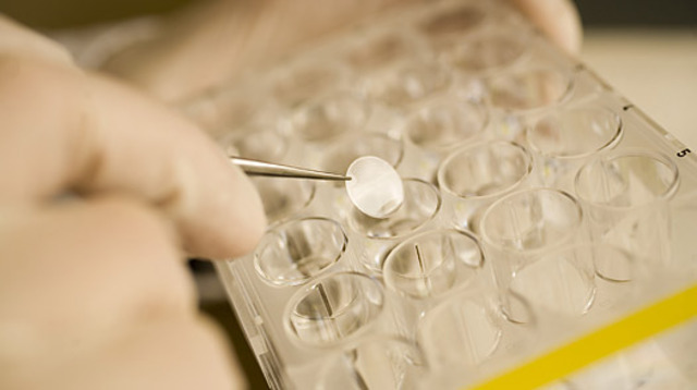 The advent of DNA testing