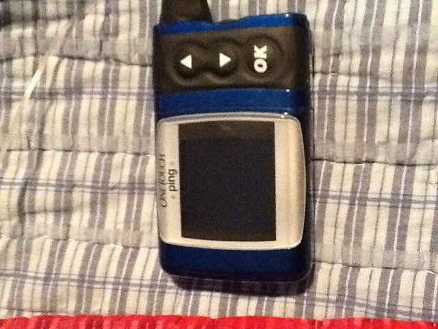 When my family found out my brother had diabetes.