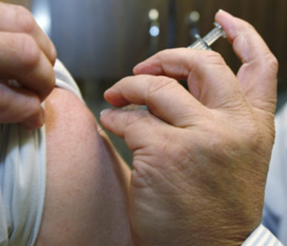 Swine flu vaccines to fall short: WHO