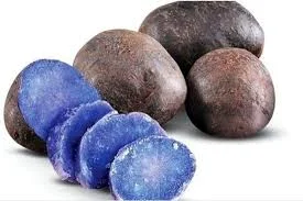 I will get my first million