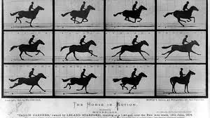 First moving picture