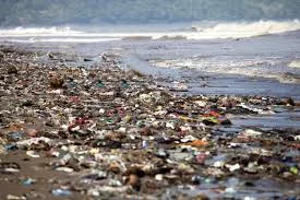 The oceans will be covered by plastic