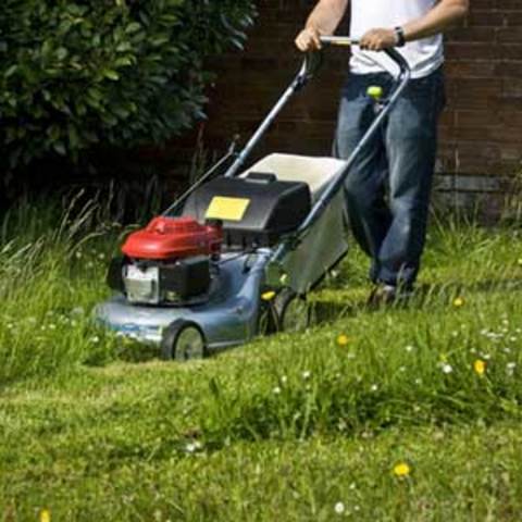 Cutting the lawn