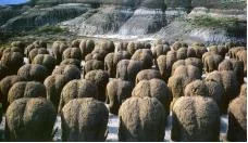 Magdalena Abakanowicz’ Backs 1976 - 80