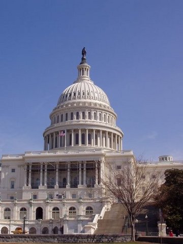 Went to Washington D.C.