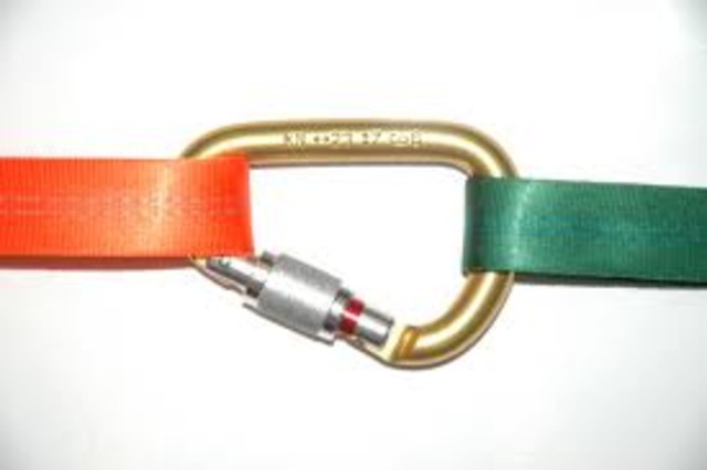 Turkey entered war on Germany's side