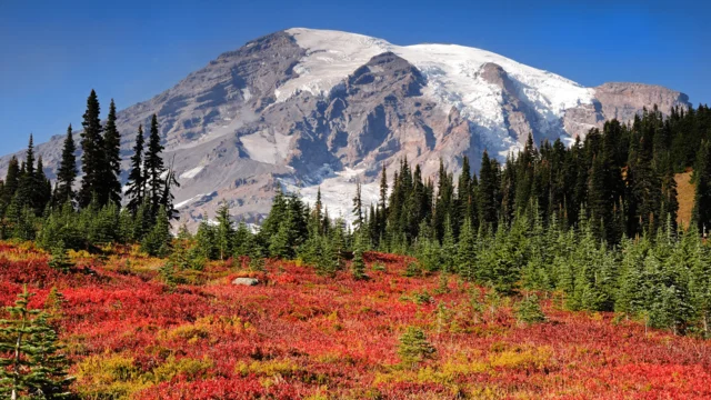 Mount Rainier National Park.