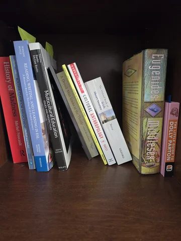 began building an interest in books