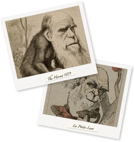 Darwin publishes his second book