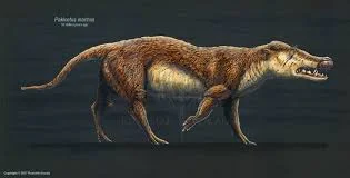 Pakicetus (vivio hace 50 millones de años)