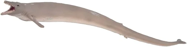 Basilosaurus (vivió hace 40-34 millones de años atrás)