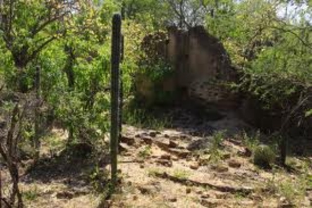 Santa Ana has been characterized by an effort to revitalize the downtown area wich had declined in influence.