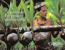 Comunidades indígenas nativas