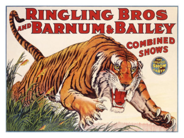 P. T. Barnum Circus