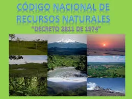 Decreto ley 2811 de 1.974